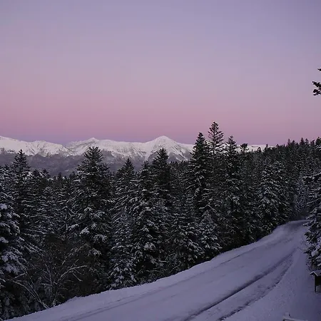 - Restaurant Le Blanchon 2*