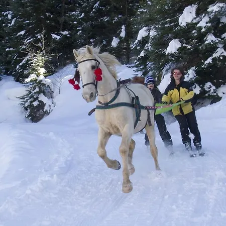 - Restaurant Le Blanchon