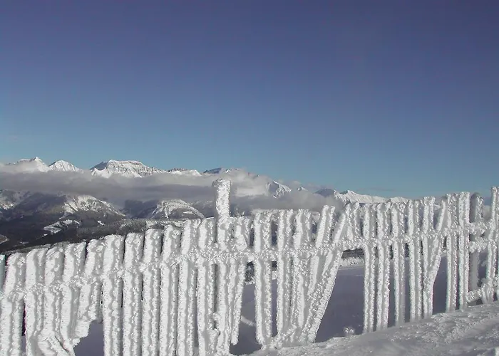 - Restaurant Le Blanchon Selonnet