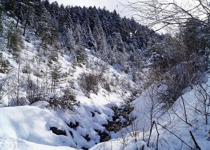 - Restaurant Le Blanchon 2*