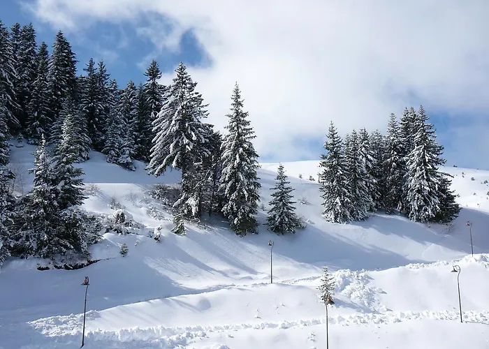 Hotel - Restaurant Le Blanchon Selonnet