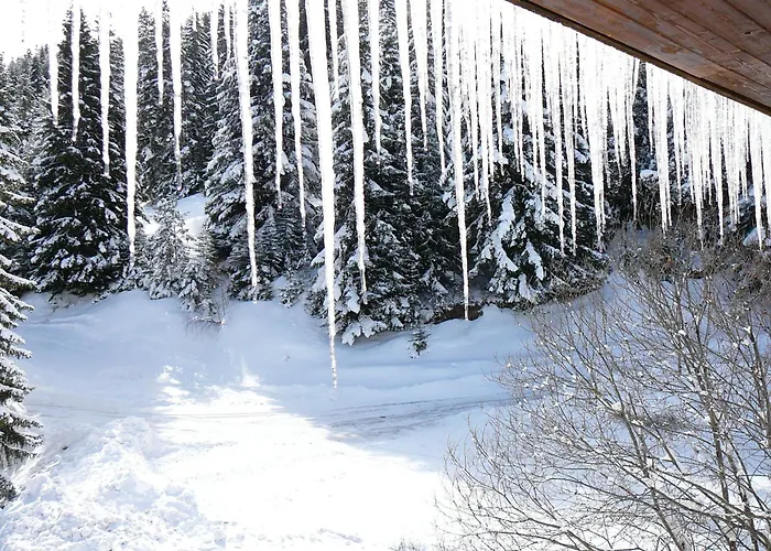 Hotel - Restaurant Le Blanchon 2*