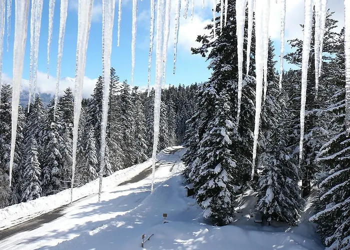 - Restaurant Le Blanchon 2*