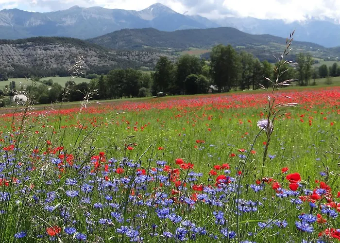 Hotel - Restaurant Le Blanchon