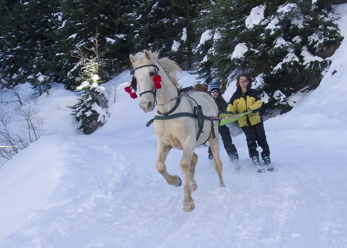 - Restaurant Le Blanchon