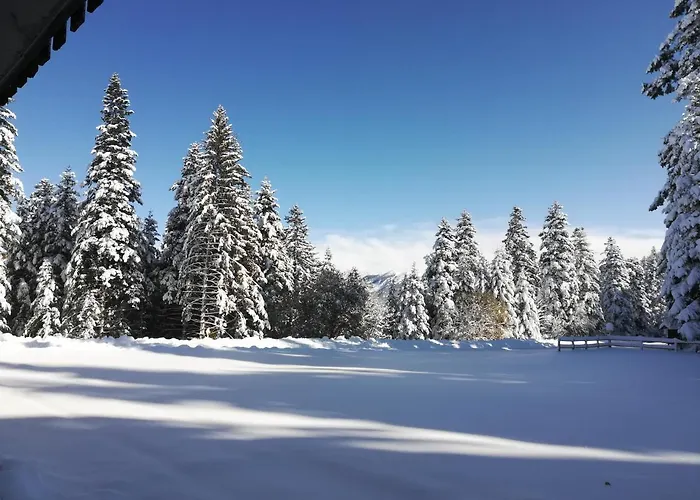 Hotel - Restaurant Le Blanchon