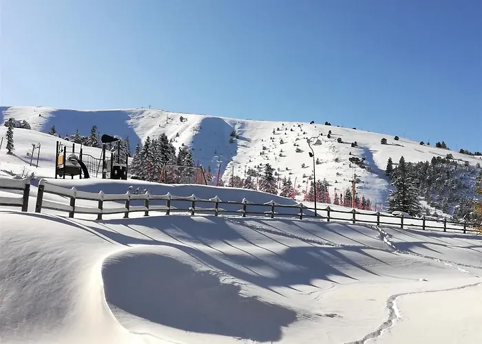 - Restaurant Le Blanchon 2* Selonnet